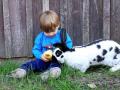junge-mit-hase