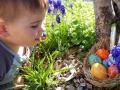 kind-an-ostern