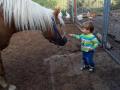 kind-mit-pony01