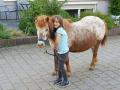 kind-mit-pony02
