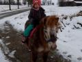 ponyreiten-im-schnee