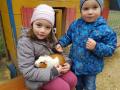 zwei-kinder-mit-meerschweinchen