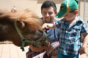 family-farm-junge-fuettert-pony