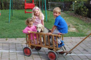 spielmoeglichkeiten-leiterwagen