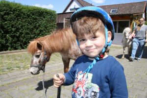 Ponys zum Spielplatz führen